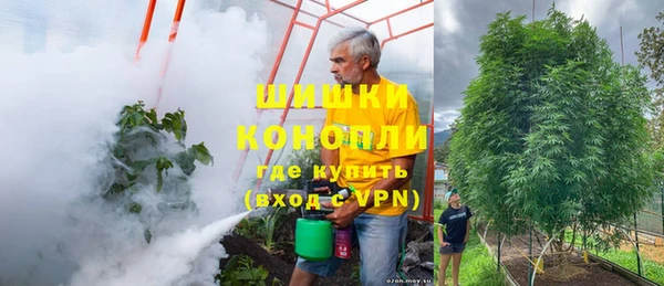 прущие крисы Сясьстрой