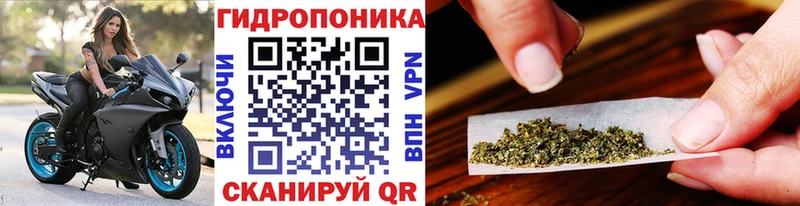 Канабис ГИДРОПОН  Невельск 